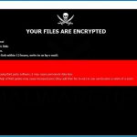 فيرس الفدية ransomware
