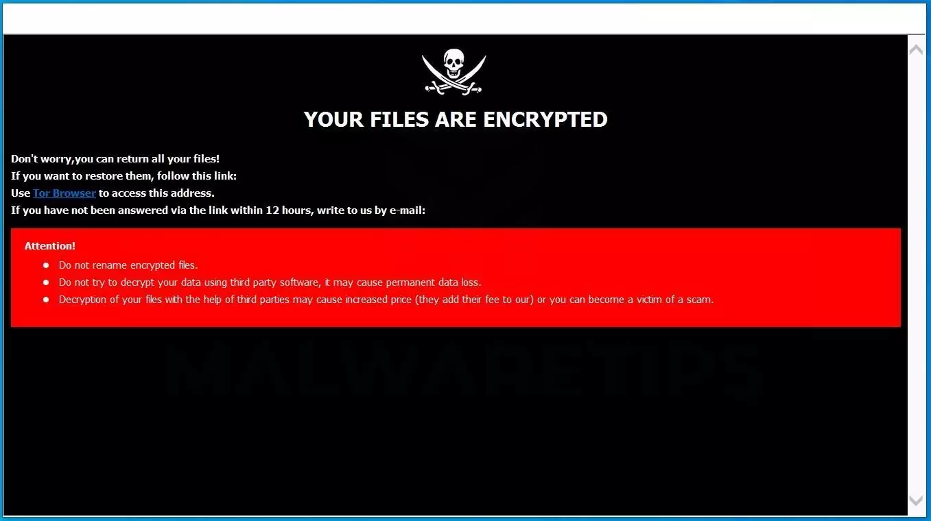 فيرس الفدية ransomware